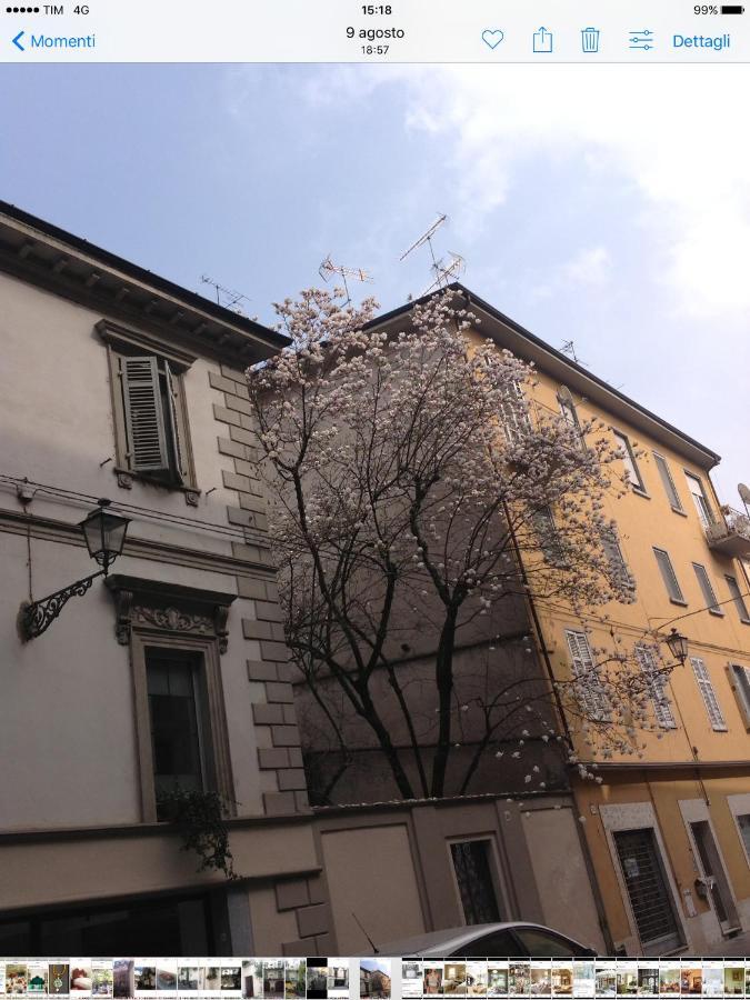 卡萨莱蒙费拉托Magnolia住宿加早餐旅馆 外观 照片