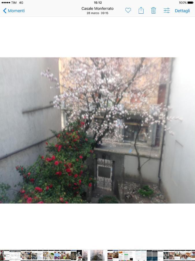 卡萨莱蒙费拉托Magnolia住宿加早餐旅馆 外观 照片